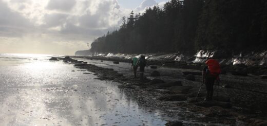 west coast trail